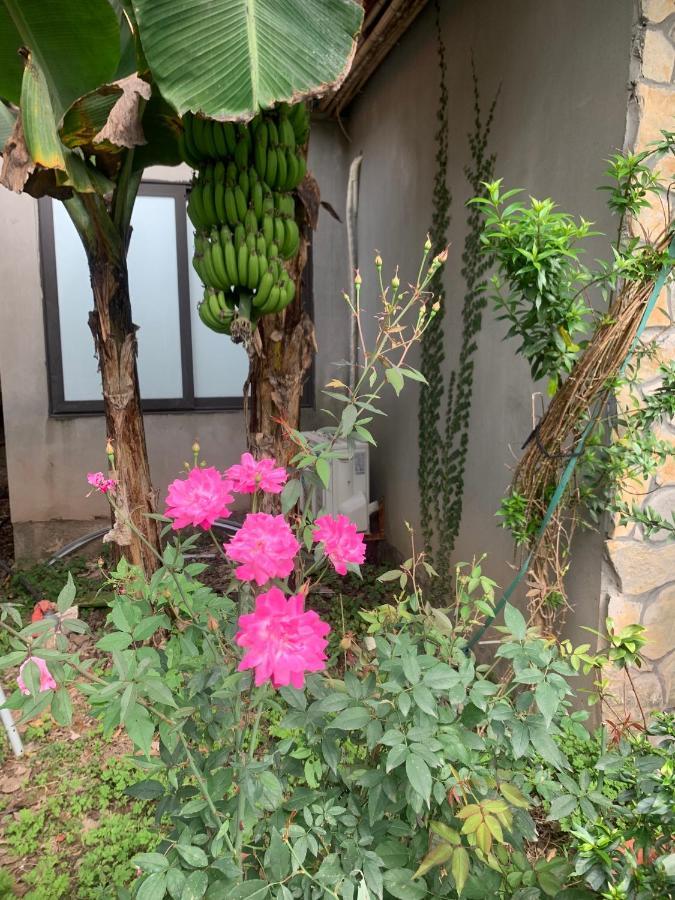 Trang An Peaceful Homestay 宁平 外观 照片