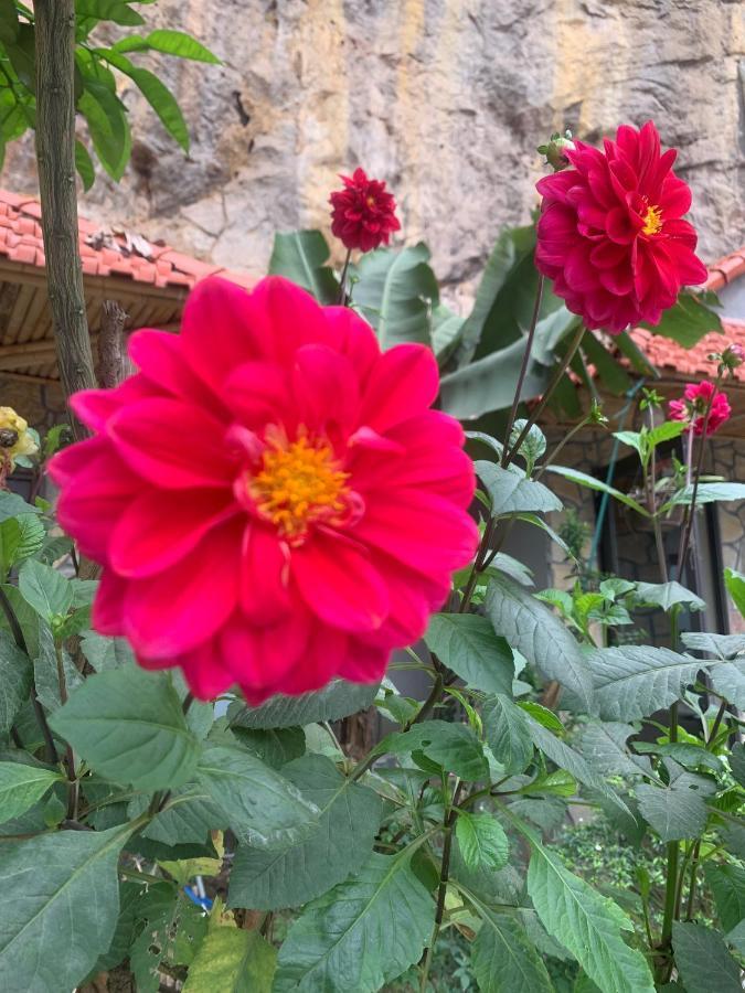 Trang An Peaceful Homestay 宁平 外观 照片